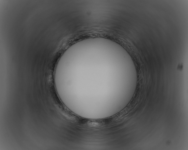 X0000091700706200708240934