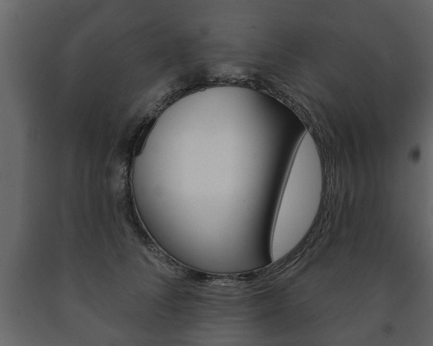 X0000091700708200708240934
