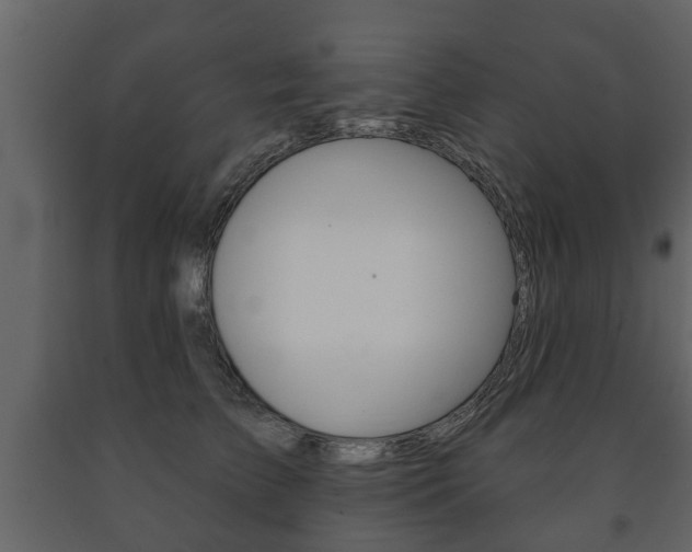 X0000091700709200708240934