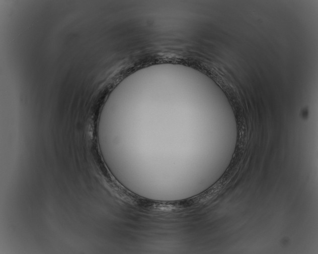 X0000091700710200708240934