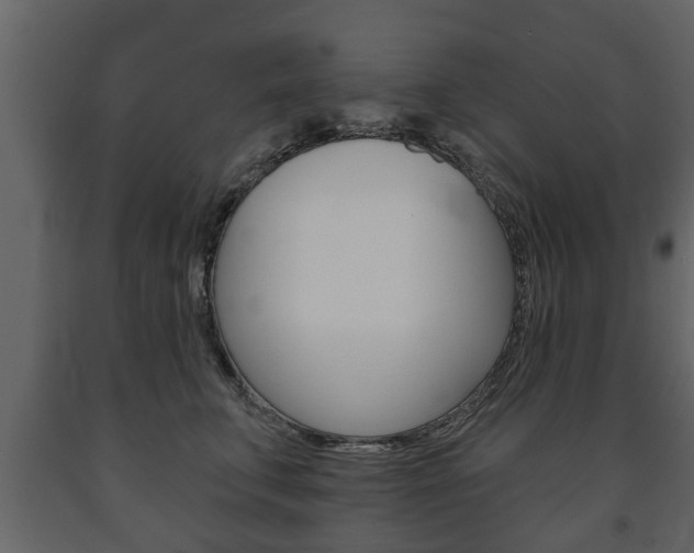 X0000091700711200708240934