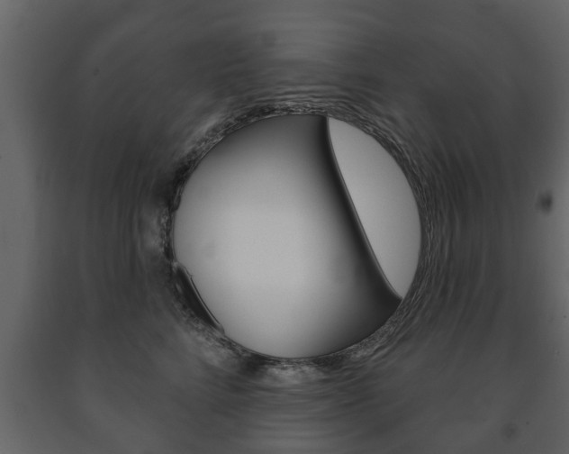 X0000091700712200708240934