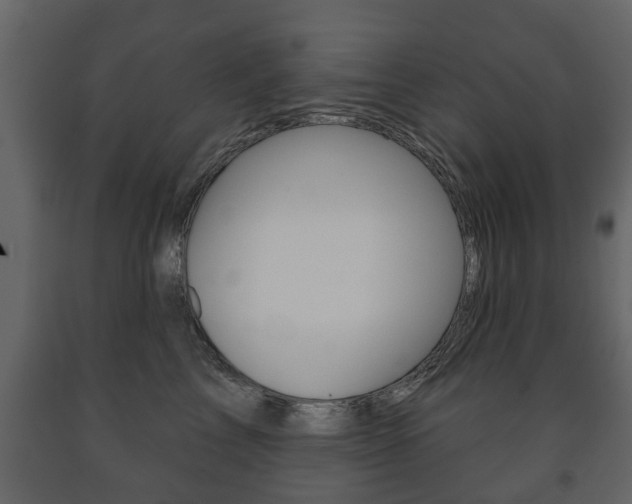 X0000091700713200708240934
