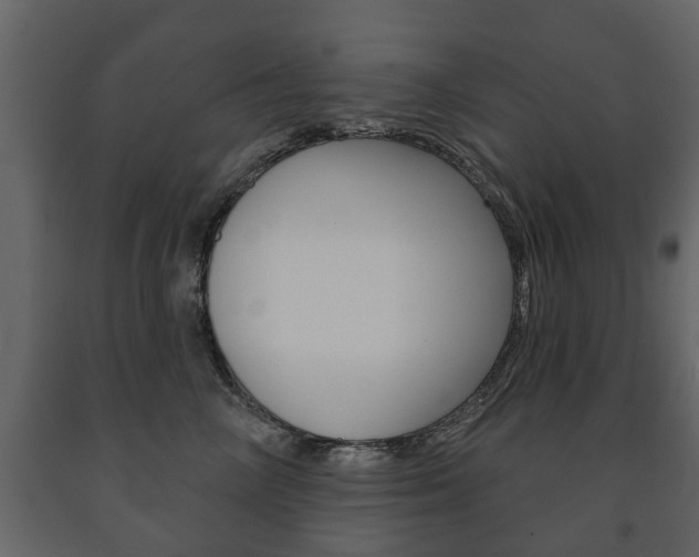 X0000091700714200708240934