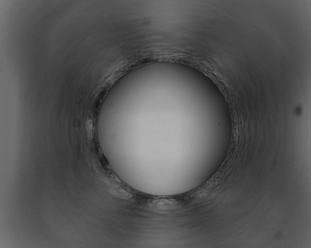 X0000091700716200708240934