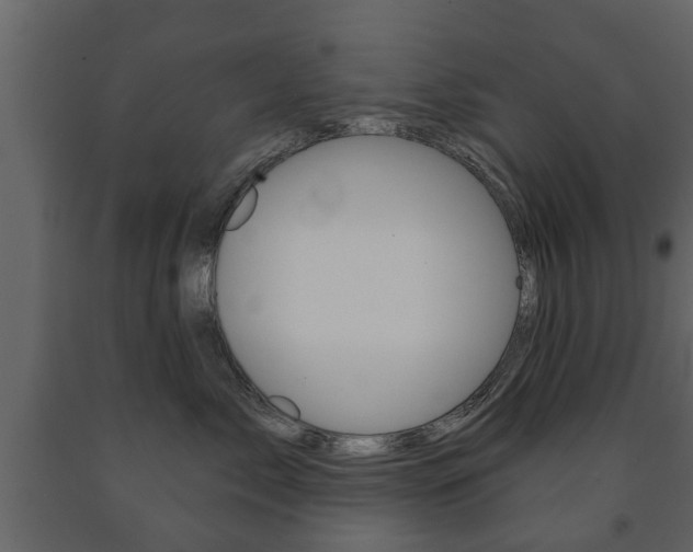 X0000091700717200708240934