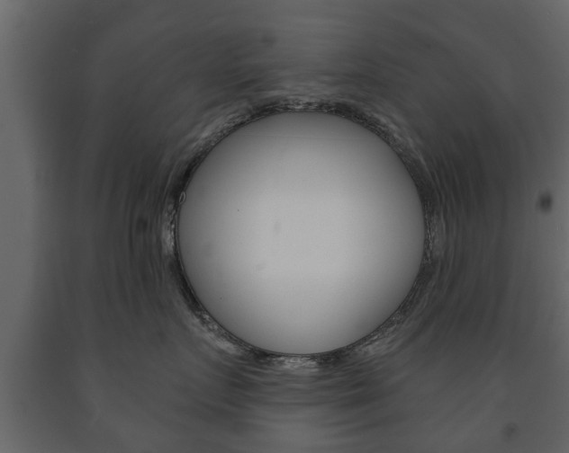 X0000091700719200708240934