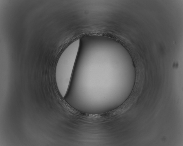 X0000091700720200708240934