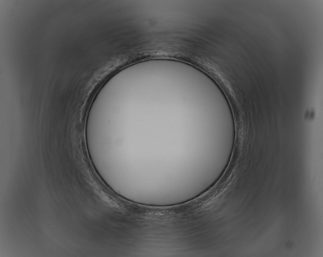 X0000091700721200708240933