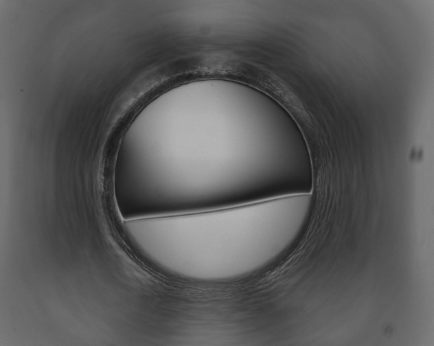 X0000091700722200708240933