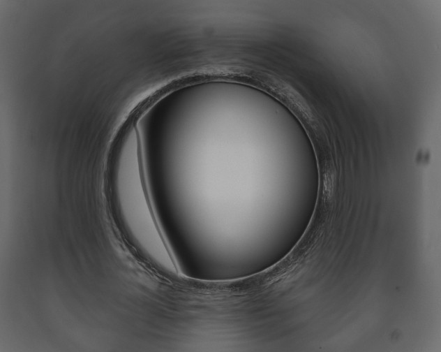 X0000091700724200708240933