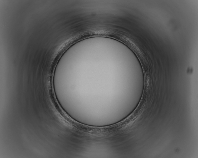 X0000091700725200708240933