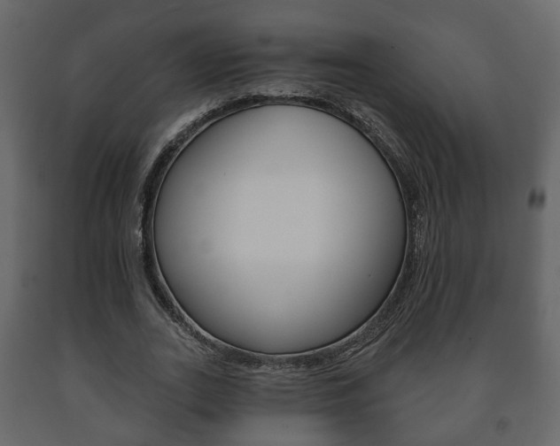 X0000091700727200708240933