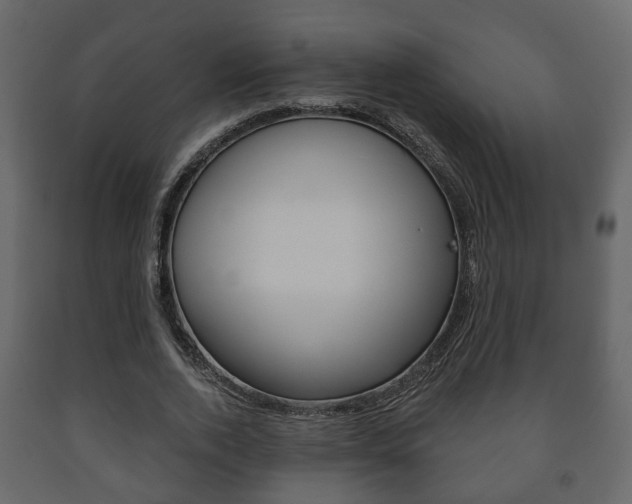 X0000091700728200708240933