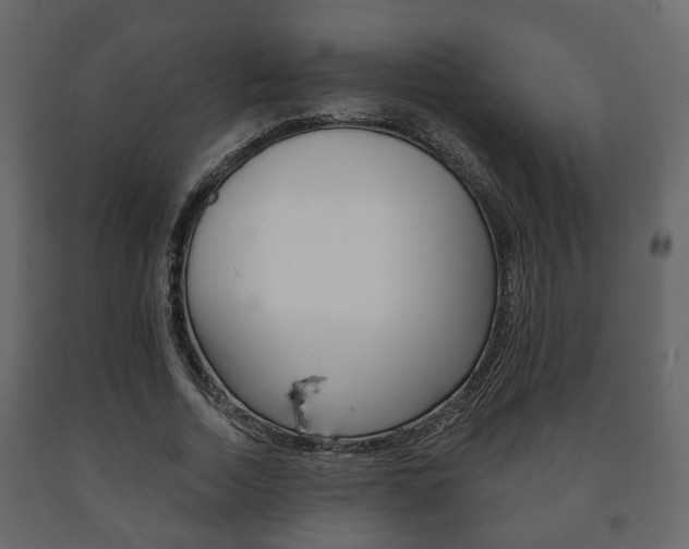 X0000091700730200708240933