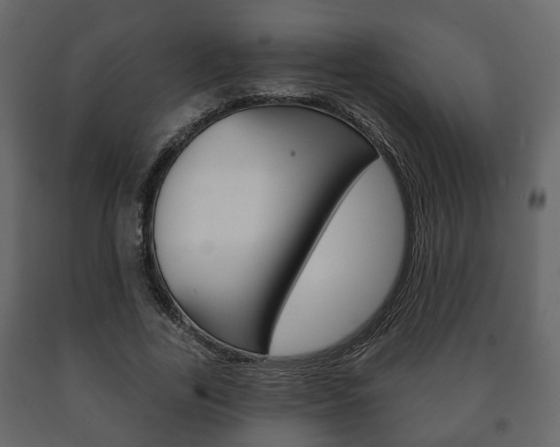 X0000091700731200708240933