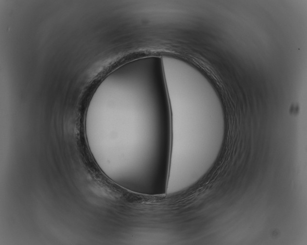 X0000091700732200708240933