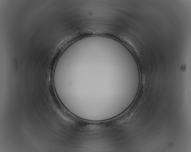 X0000091700733200708240933