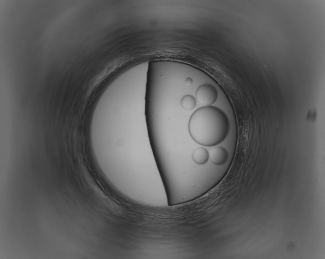 X0000091700734200708240933