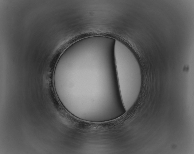 X0000091700736200708240933