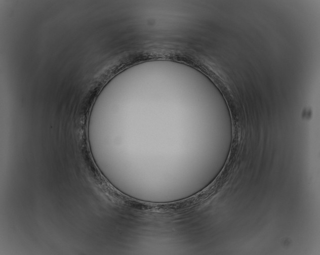 X0000091700737200708240933