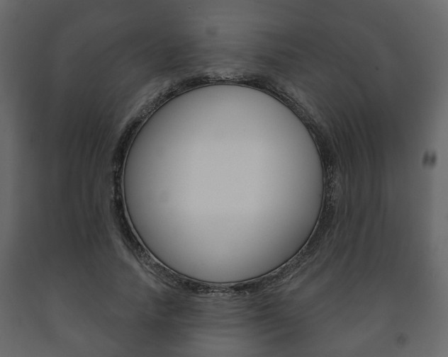 X0000091700738200708240933