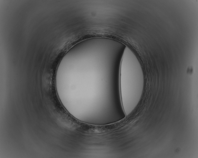 X0000091700739200708240933