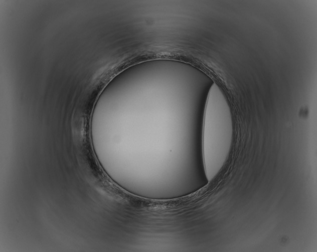 X0000091700740200708240933