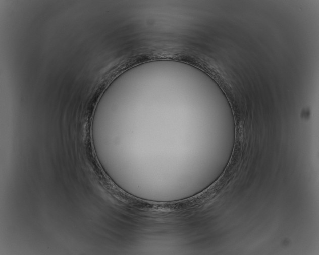 X0000091700741200708240933