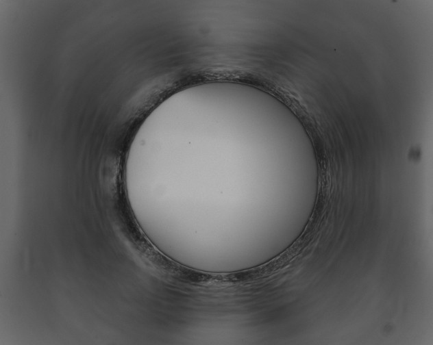 X0000091700742200708240933