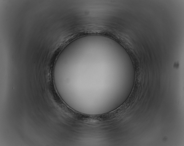 X0000091700743200708240933