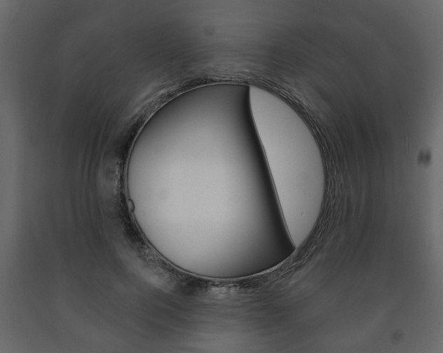X0000091700744200708240933