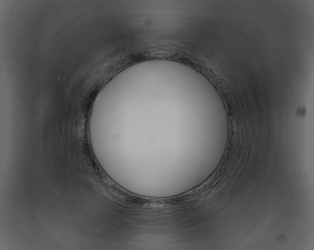 X0000091700745200708240933