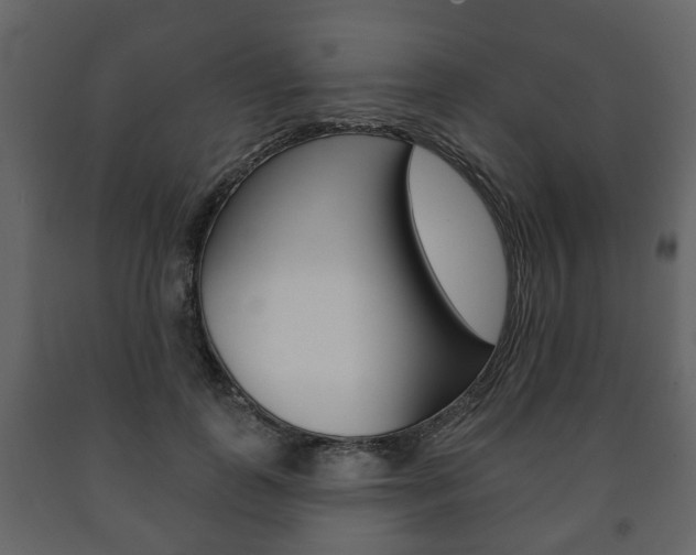 X0000091700747200708240933