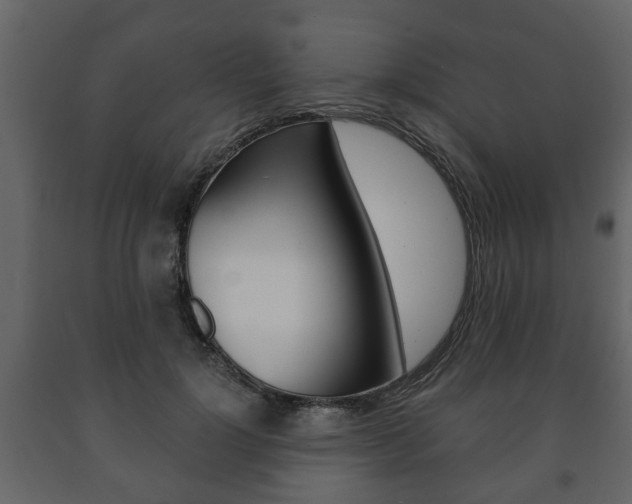 X0000091700748200708240933
