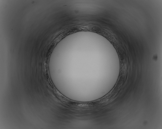 X0000091700749200708240933