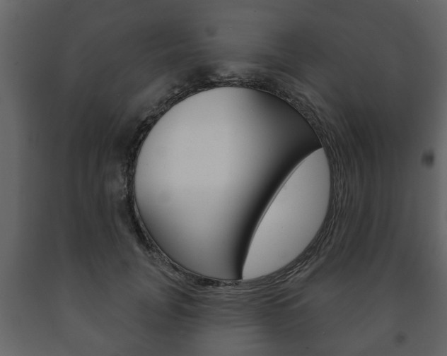X0000091700751200708240933