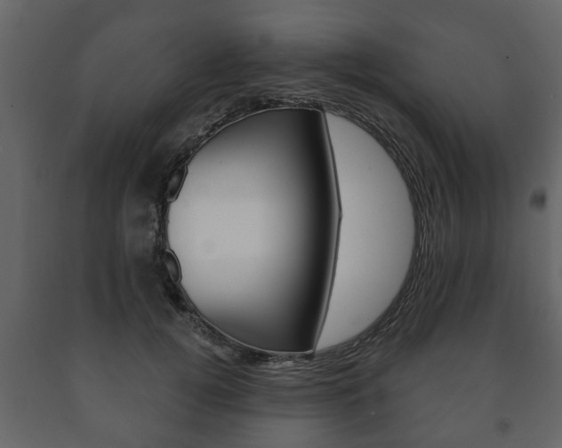 X0000091700752200708240933