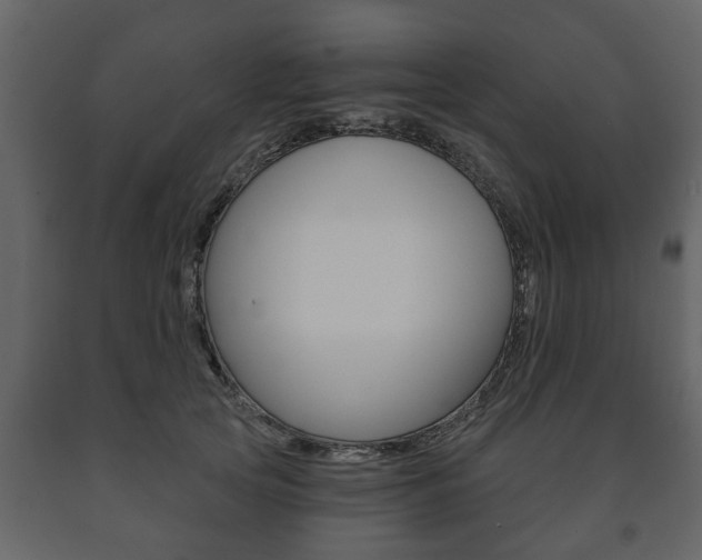 X0000091700753200708240933
