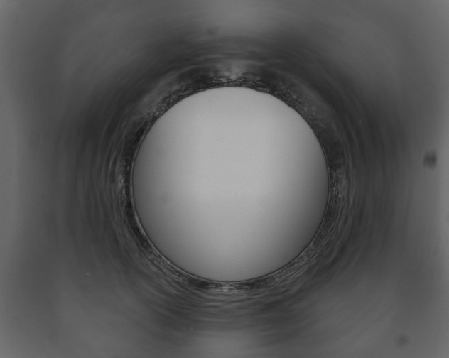 X0000091700754200708240933