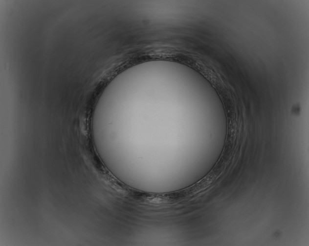 X0000091700755200708240933