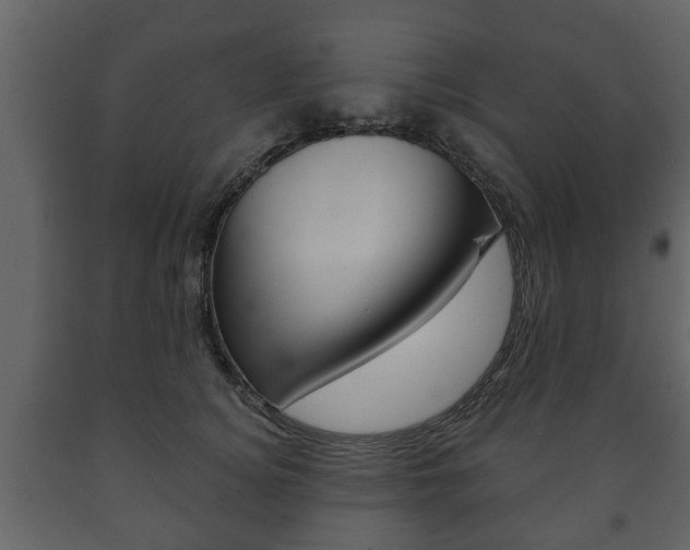 X0000091700756200708240933