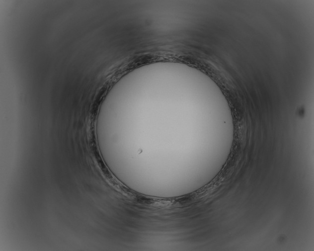 X0000091700757200708240933