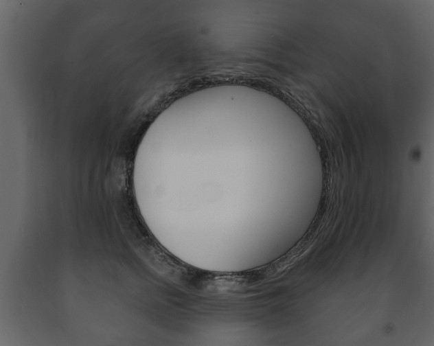 X0000091700758200708240933