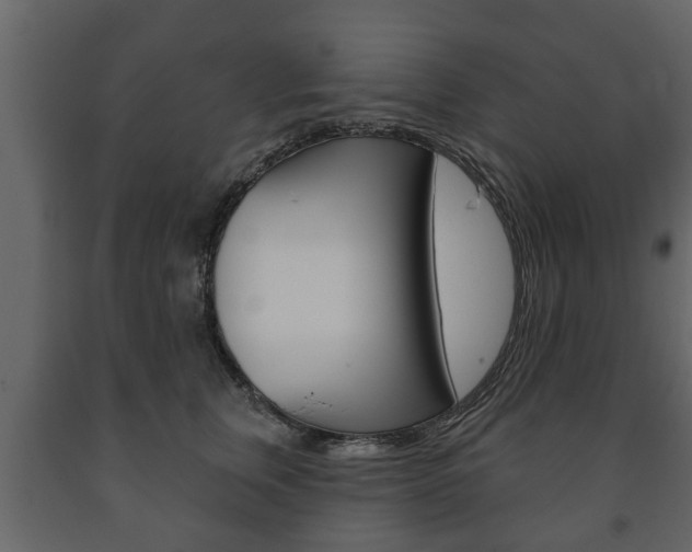 X0000091700759200708240934