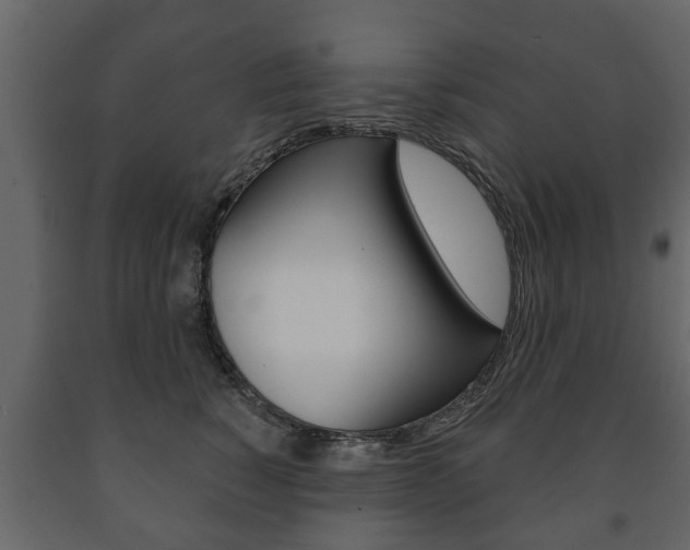 X0000091700760200708240934