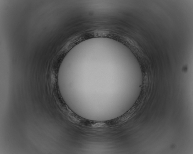 X0000091700761200708240934