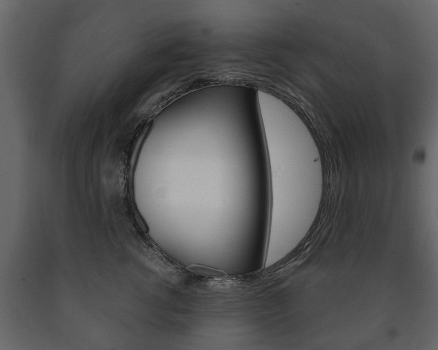 X0000091700762200708240934