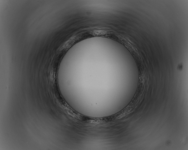 X0000091700763200708240934