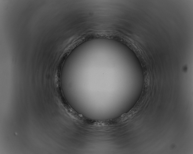 X0000091700764200708240934